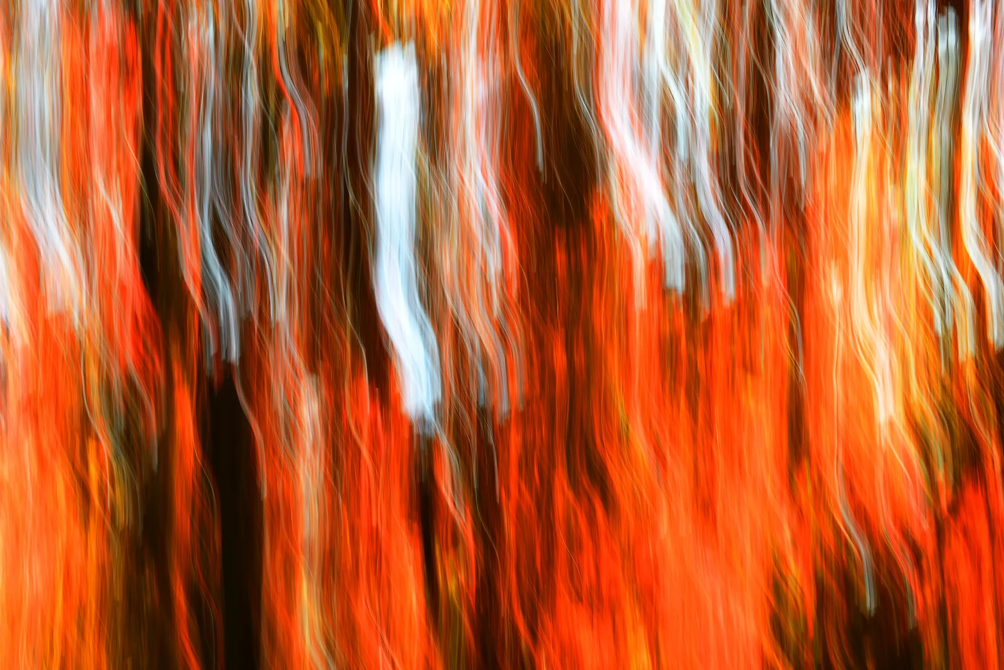 Burning Tall  Wall Art