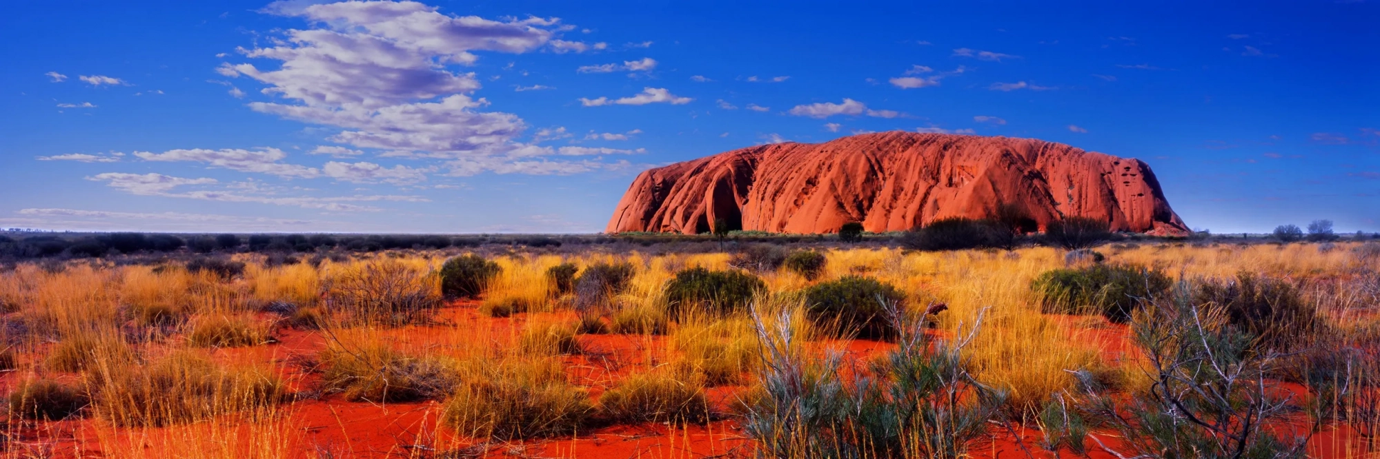 Sundrenched Uluru  Wall Art