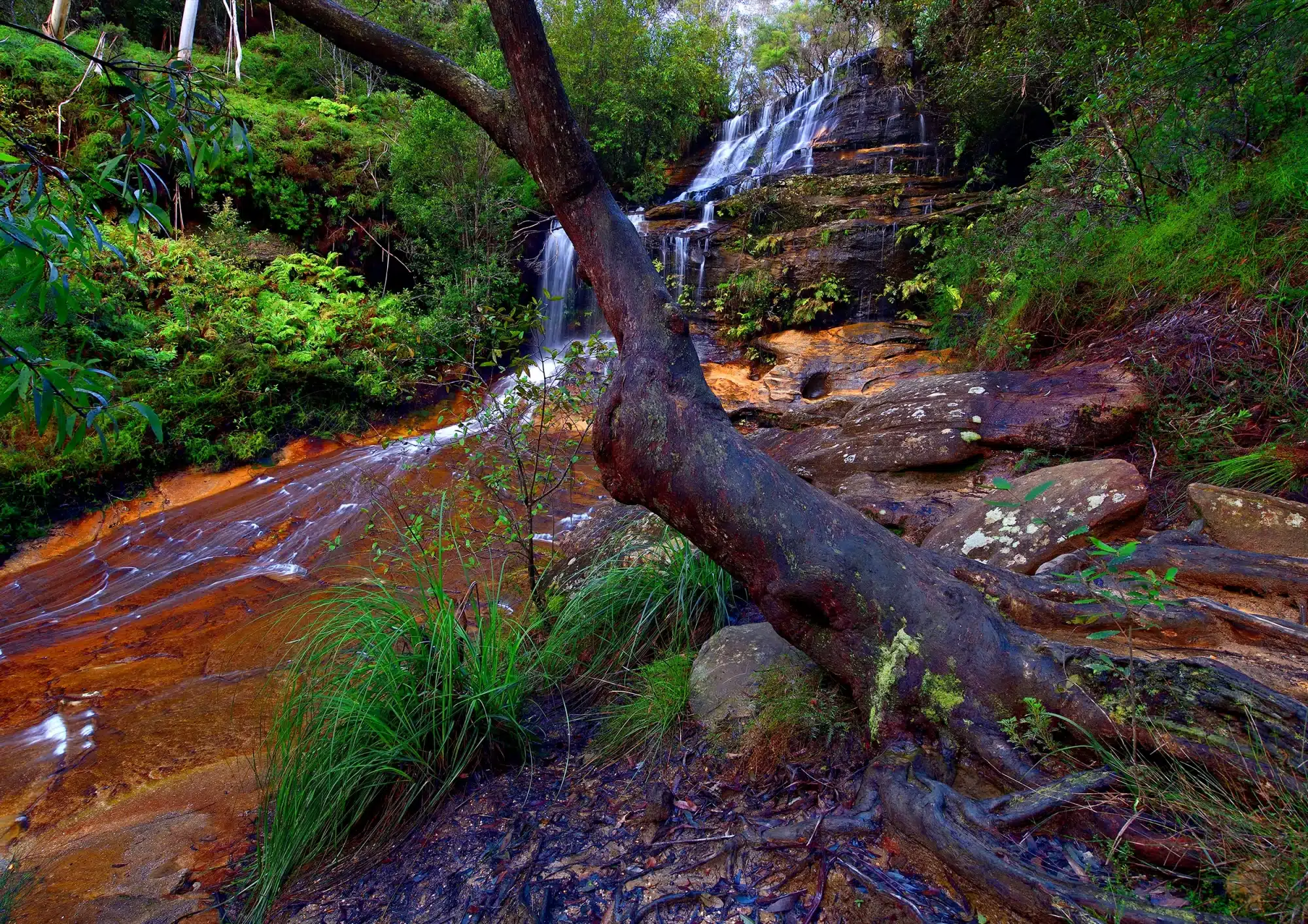 Whispering Falls Mark Zissis