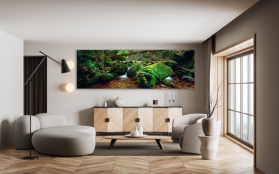 Transforming Spaces: How Limited Edition Wall Art Photography Elevates Interior Design