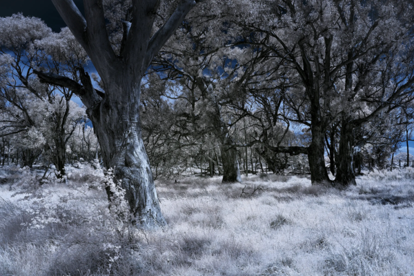 Yass Country IR 720 NM  Wall Art