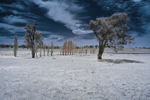 Yass Valley IR 720 NM  Wall Art