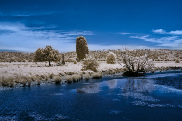 Collector River Crossing IR 720 NM  Wall Art