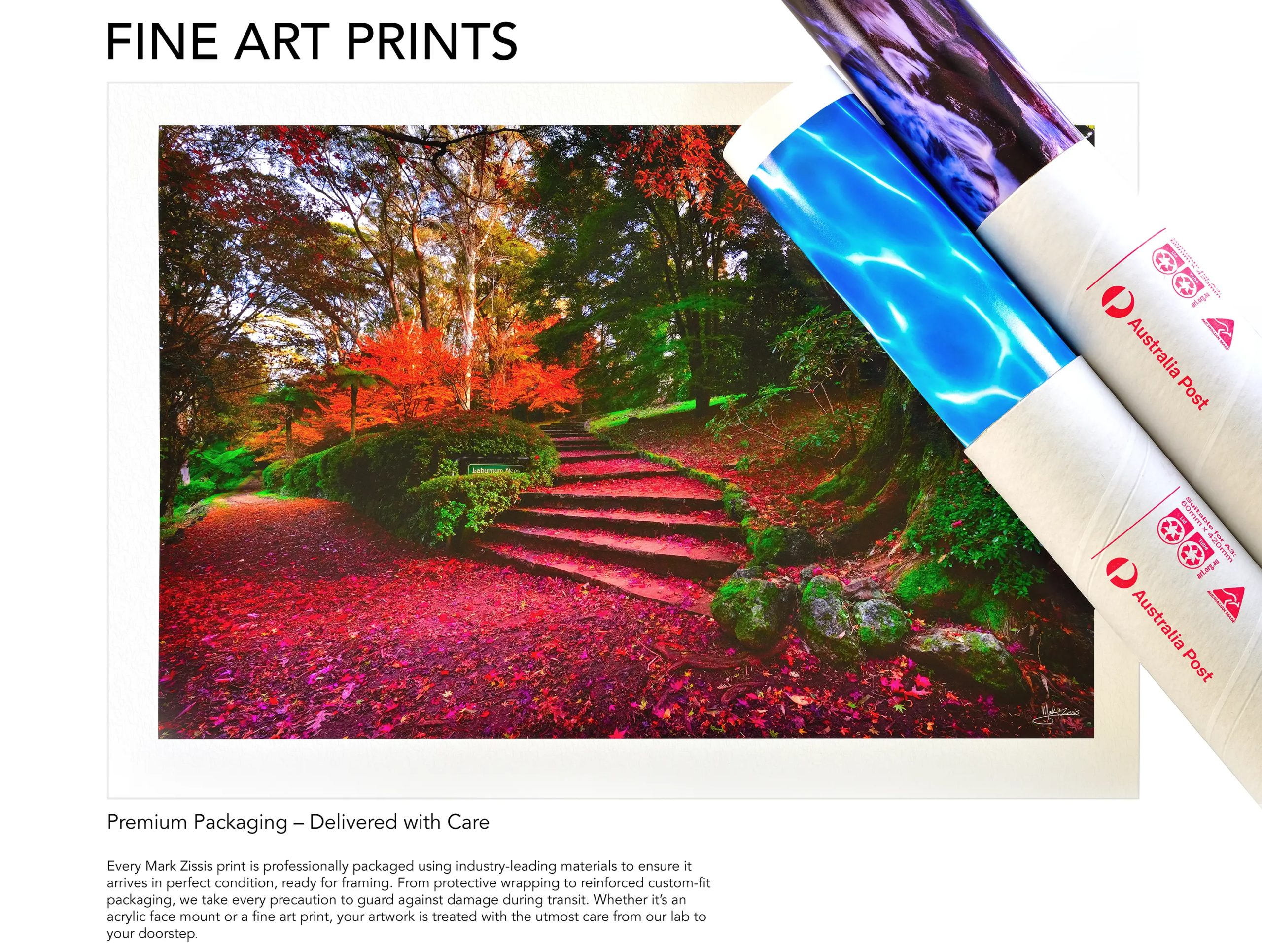FINE ART PRINT