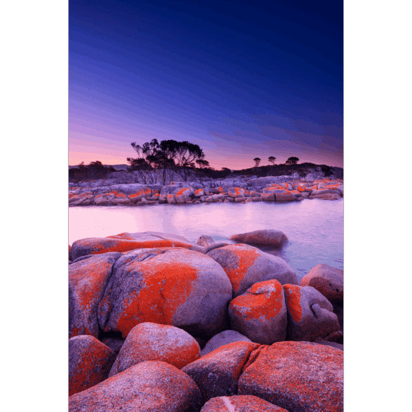 Dusk Ignites
