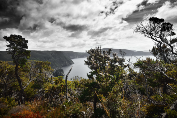 Tasman Bay